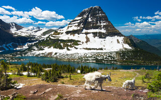 Glacier | Montana