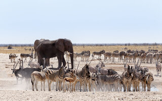 Parque Nacional Etosha