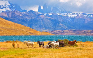 Torres del Paine