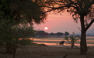 Mana Pools