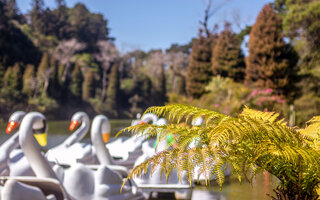 PARQUE ECOLÓGICO DO TIETÊ