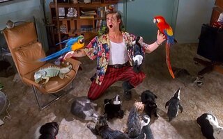 Ace Ventura - Um Detetive Diferente