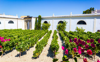 JEREZ DE LA FRONTERA