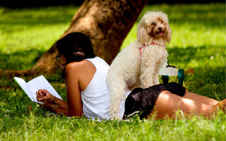 PARQUE IBIRAPUERA