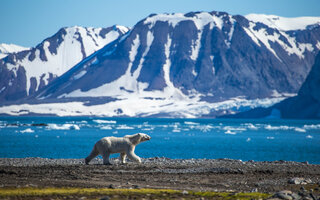 Svalbard