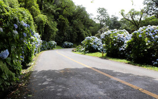 Estrada da Graciosa | Paraná