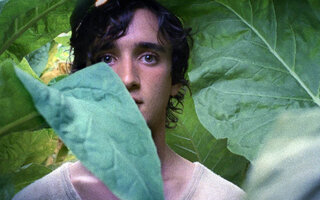 Lazzaro Felice