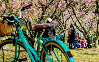 PARQUE DO CARMO