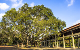 PARQUE DO IBIRAPUERA