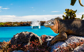 Galápagos