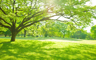 Parque da Juventude