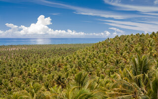 Mirante do Gunga | Roteiro, Alagoas