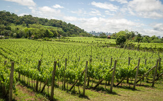 Vale dos Vinhedos, Rio Grande do Sul