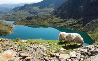 Snowdonia | País de Gales