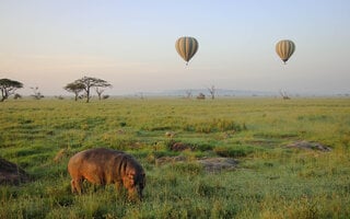 Serengeti | Tanzânia