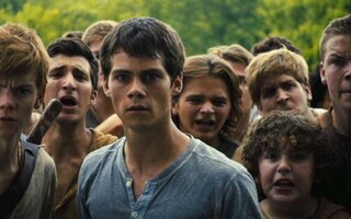 Maze Runner