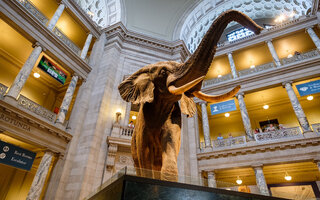 MUSEU DA HISTÓRIA NATURAL