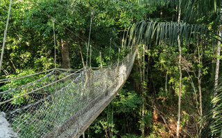 Iwokrama | Guiana