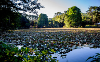 HORTO FLORESTAL