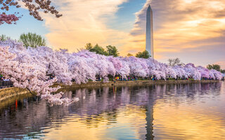 Washington D.C., Estados Unidos