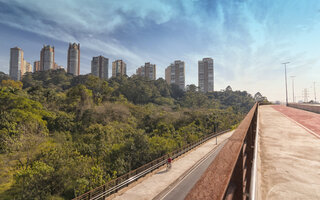 PARQUE BURLE MARX