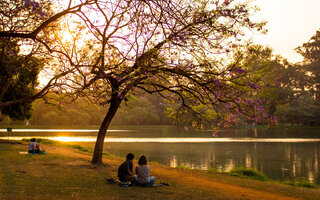 PARQUE IBIRAPUERA