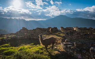 KULEAP (PERU)