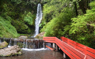 TERMAS GEOMÉTRICAS