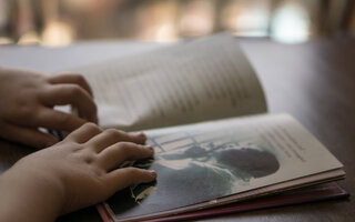 Biblioteca Infantojuvenil Monteiro Lobato