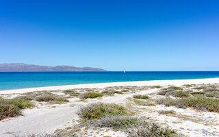 La Ventana, Baja California Sur | México