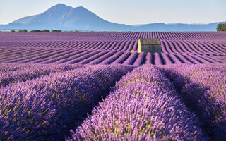 VALENSOLE