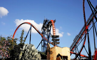 SHEIKRA, TAMPA [ESTADOS UNIDOS]