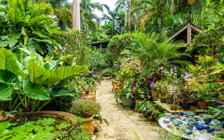 Hunte’s Gardens