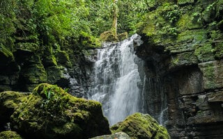 Amazônia Equatoriana
