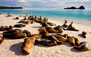 GALÁPAGOS, EQUADOR