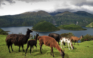 Laguna Cuicocha