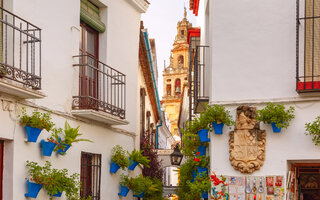 CALLEJA DE LAS FLORES