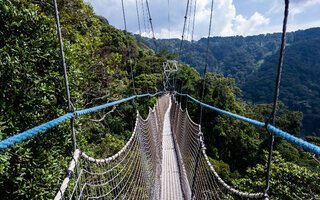 Parque Nacional Nyungwe