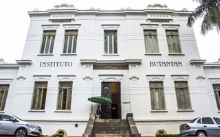 Instituto Butantan