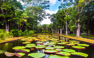 Jardim Botânico Pamplemousses