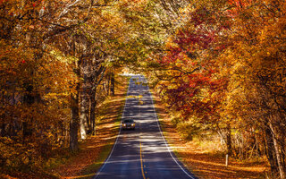 VIRGÍNIA: SHENANDOAH NATIONAL PARK