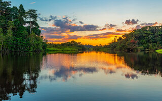 Amazônia | Mato Grosso