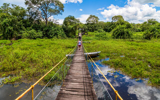 Pantanal | Mato Grosso e Mato Grosso do Sul