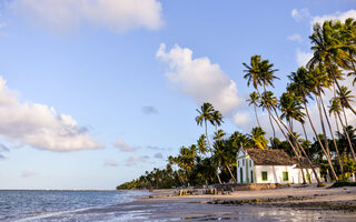 Praia dos Carneiros, Pernambuco