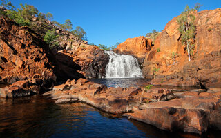 Kakadu