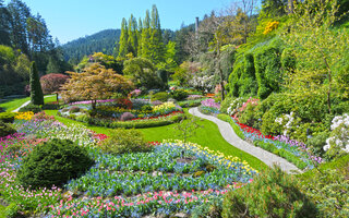 Butchart Gardens