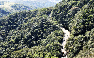 Parque Estadual do Jaraguá