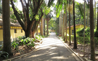 Parque da Água Branca