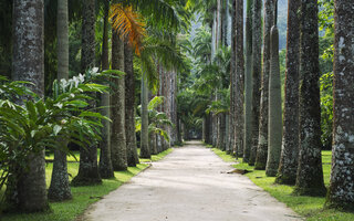 Jardim Botânico