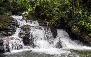 Parque Estadual Turístico do Alto Ribeira - PETAR, São Paulo